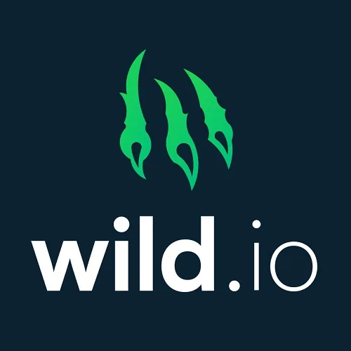 avis sur wild-io casino